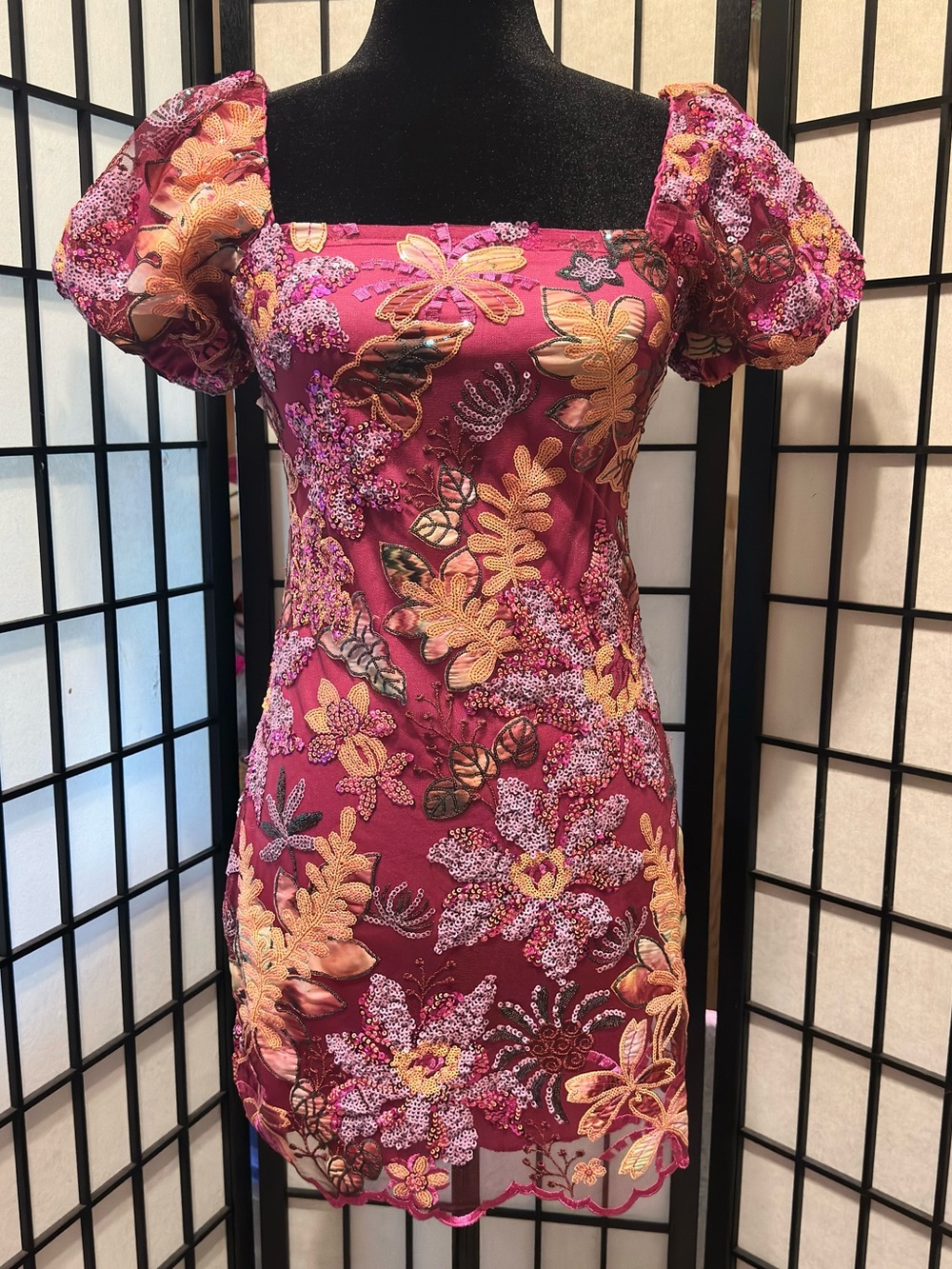 Floral Embroidered Dress with Puff Sleeves